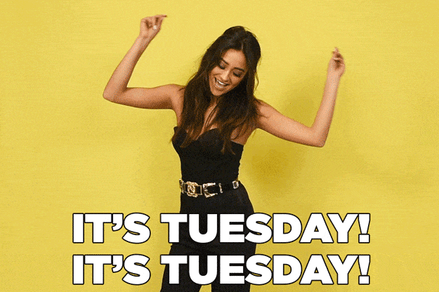 its tuesday gifs find share on giphy medium