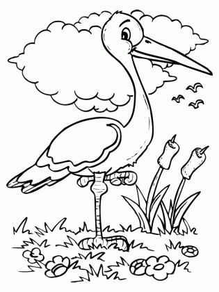 coloring pages birds animated images gifs pictures medium