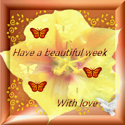 have a beautiful week with love days week myniceprofile com medium