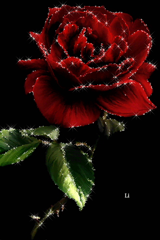 flower animation telefon 1386777 rosas y mas pinterest medium