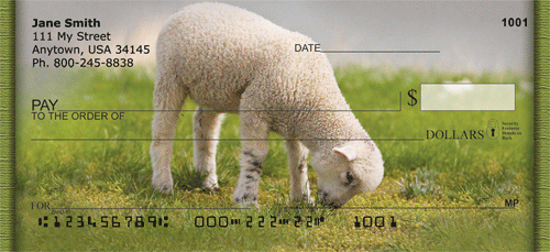 sheep personal checks sheep dog check designs medium