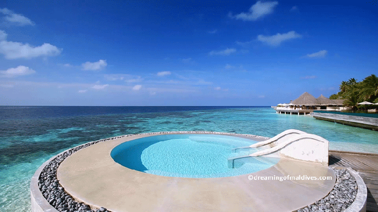 dream pool in paradise a maldives gif medium