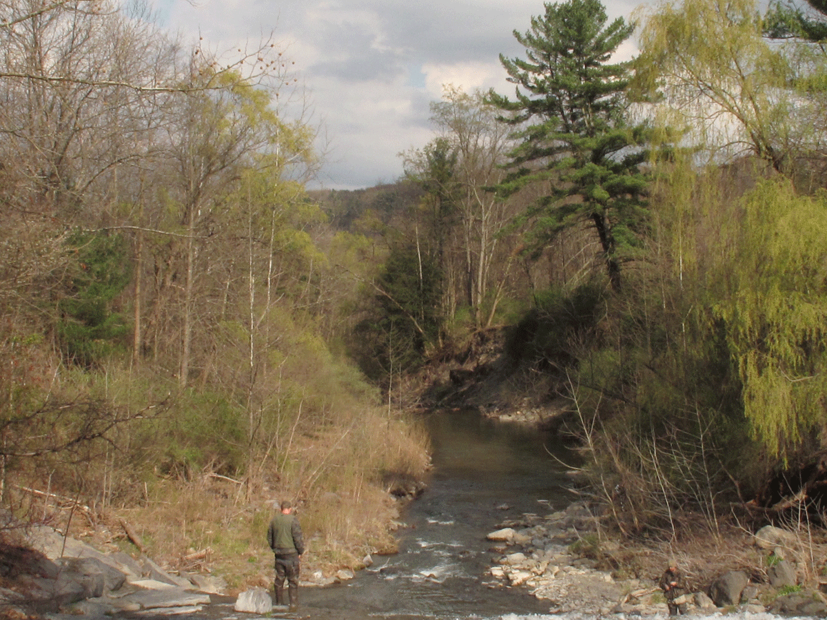 fishing for trout in enfield creek in robert h treman state park medium