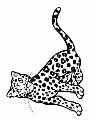 coloring pages cheetahs animated images gifs pictures medium