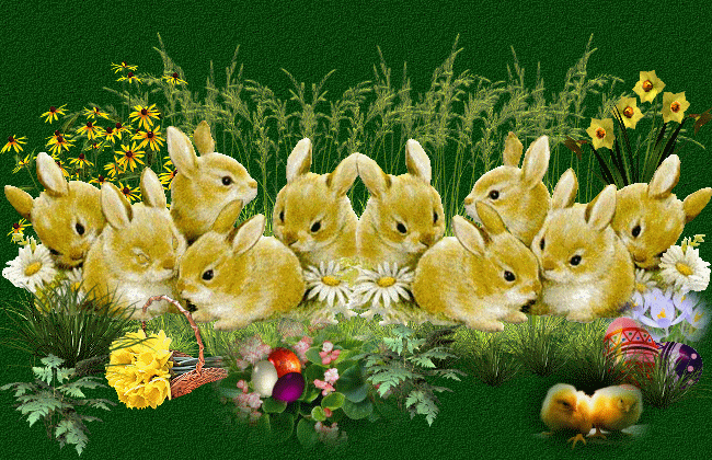 colorful dreams easter pinterest bunny easter and gifs medium