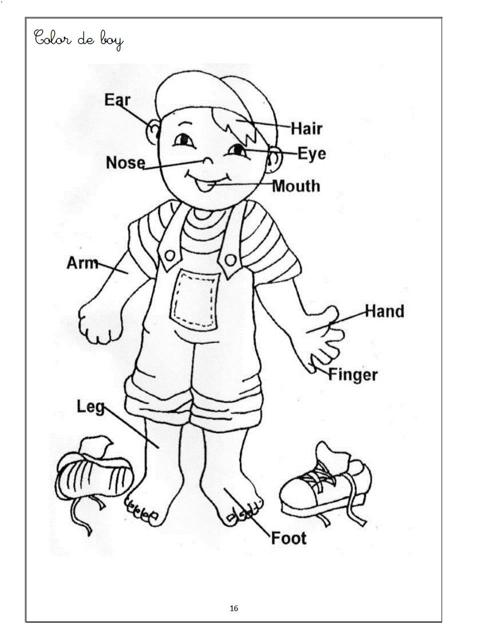 witch worksheets for preschool human body coloring pages for kids medium