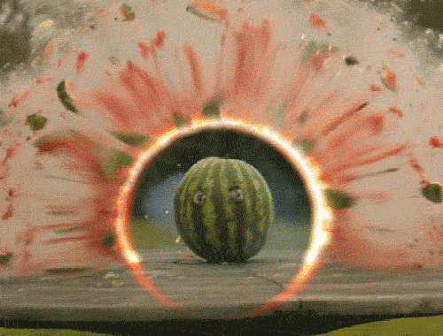 exploding melon gifs find share on giphy medium