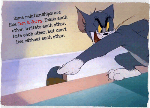 tom and jerry quotes funny inspirational quotes thoughts images medium