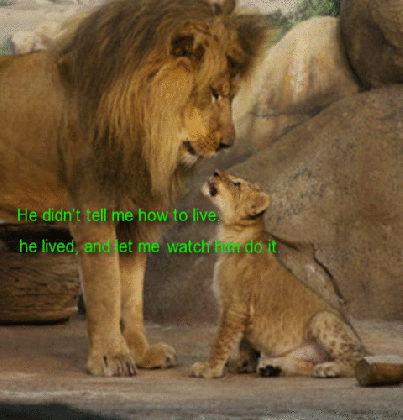my lion king dad free from father s son ecards greeting medium