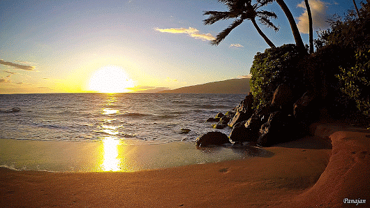 hawaii beach beautiful picture gif cinemagraph medium