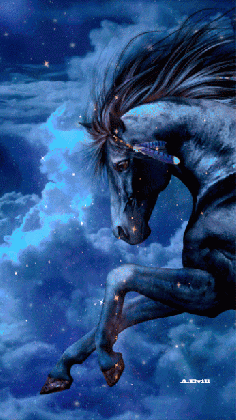 black fantasy horse gif iphone wallpaper background iphone wallpaper backgrounds medium