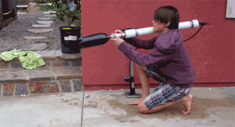 stupid people that are prime candidates for darwin awards 14 gifs medium