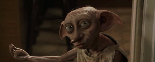 dobby made a pretty solid income after he was freed medium
