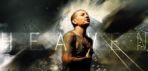 chester gif find share on giphy medium