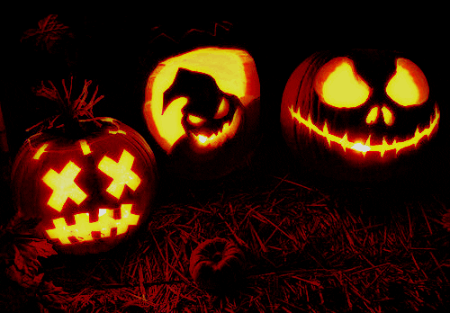 halloween spooky pumpkins trekkiesfanfiction freeforums org medium