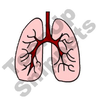 lungs cartoon clipart free download best lungs cartoon clipart on medium