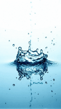 animated effects water drop bing images medium