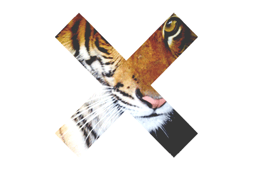 transparent tiger tumblr medium