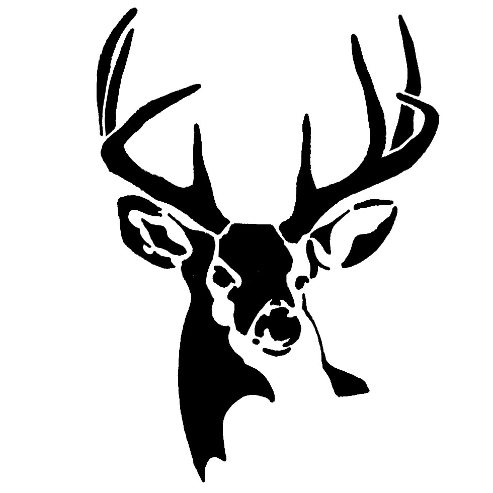 whitetail buck deer stencil deer stencil whitetail bucks and buck medium
