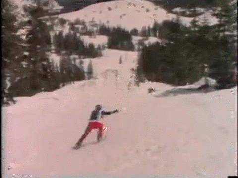 gif skis animated gif on gifer by sirahuginn medium