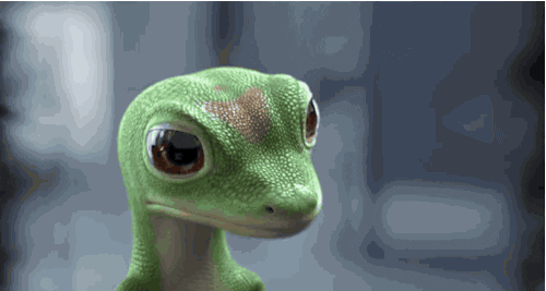 car insurance gecko gif by adweek find share on giphy medium