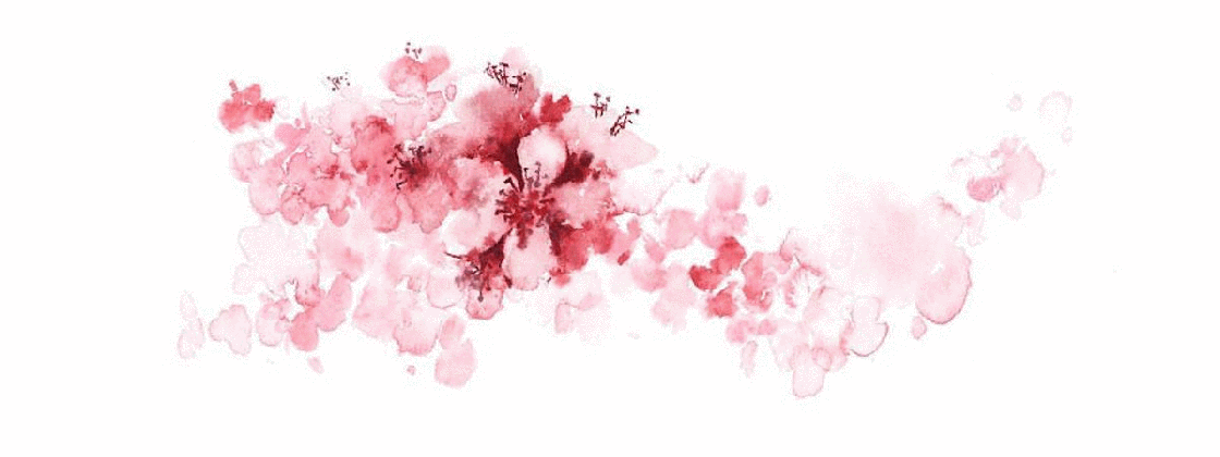 cherry blossom a graphic portfolio welcome to cherry blossom medium