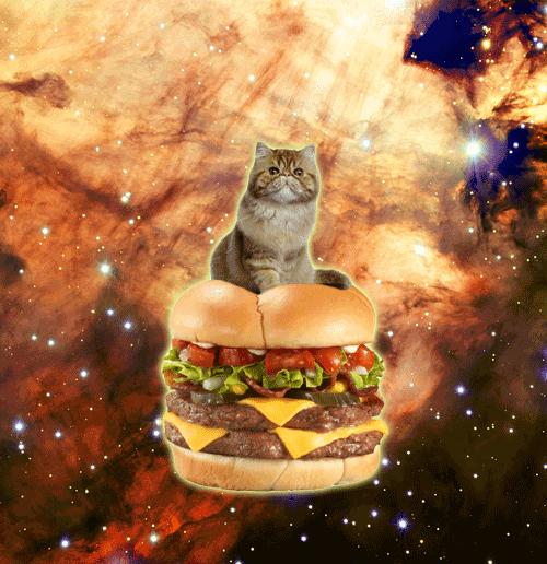 happy 26th birthday gif let s party pinterest outer space cat medium
