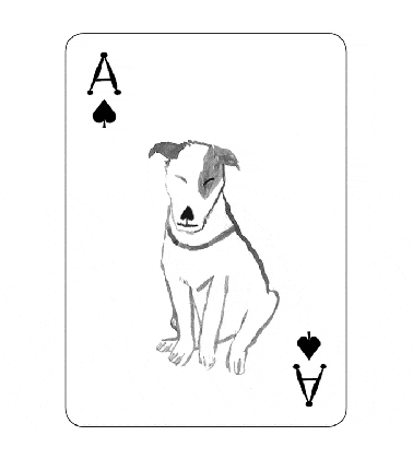 these dog playing cards have the most brilliant illustrations medium