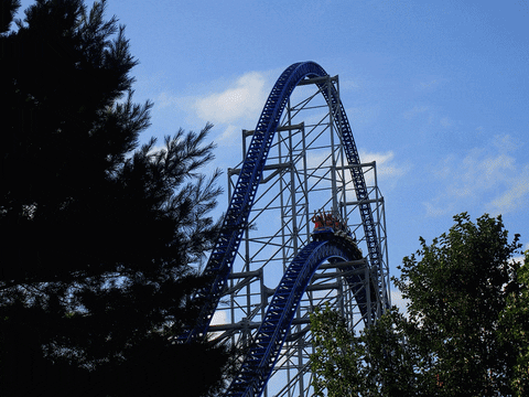 roller coaster my photos gif find share on giphy medium