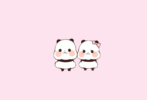 panda love tumblr medium