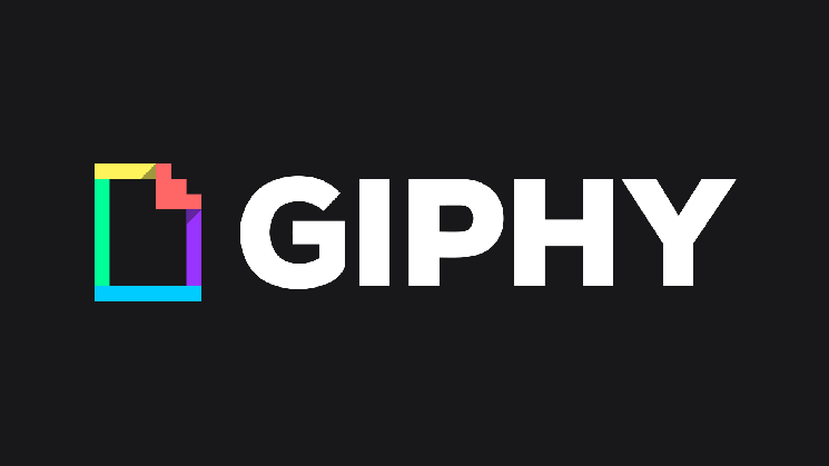 gifs everywhere for everyone giphy medium medium