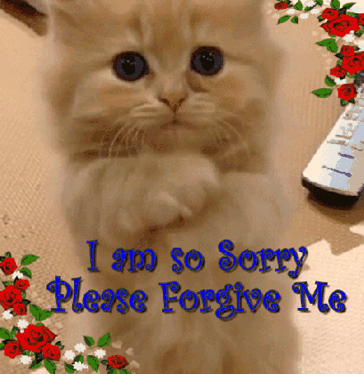 kitty says please forgive me free sorry ecards 123 greetings medium