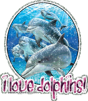 dolphin animated glitter graphics dazzlejunction com graphics medium