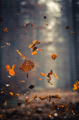 tumblr animated autumn google zoeken charming autumn medium