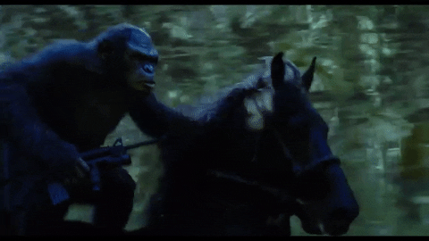 war for the planet of the apes gifs get the best gif on giphy medium