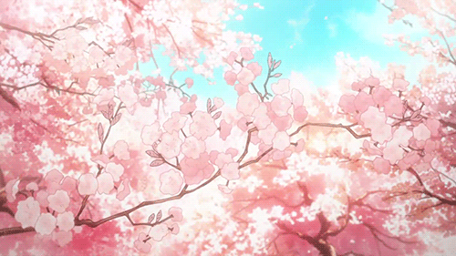 the cherry s melody 01 cherry blossom gentleness wattpad medium