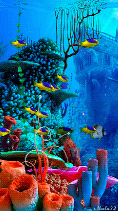 google fish tanks aqua life pinterest fish tanks and animal medium