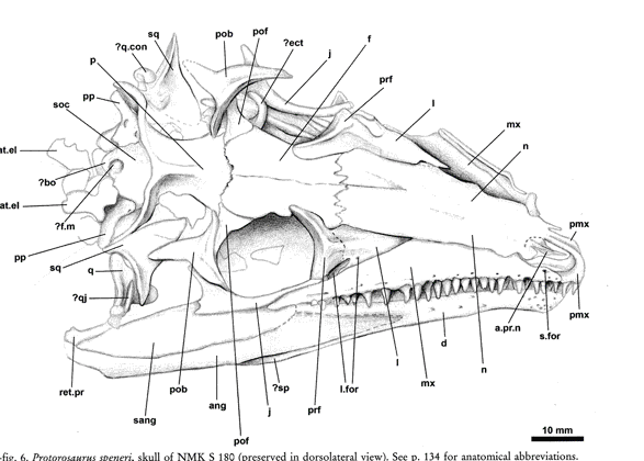 december 2015 the pterosaur heresies page 2 medium