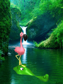 animated wallpaper screensaver 240x320 for cellphone flamingo medium