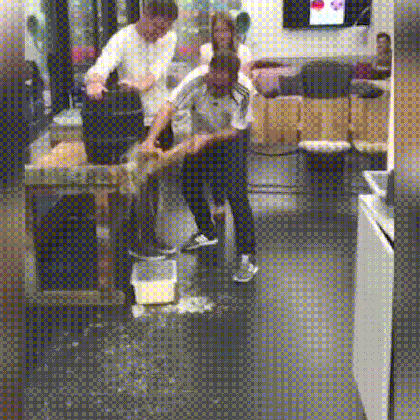 beer fail gif find share on giphy medium