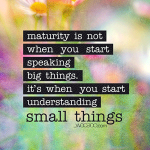 yes start with small things rina pinterest ads maturity and medium