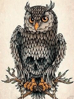 pin by on pinterest owl and adult coloring medium