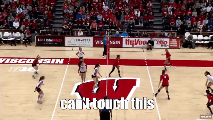 ashley wenz ohio state can t touch this animated gif medium