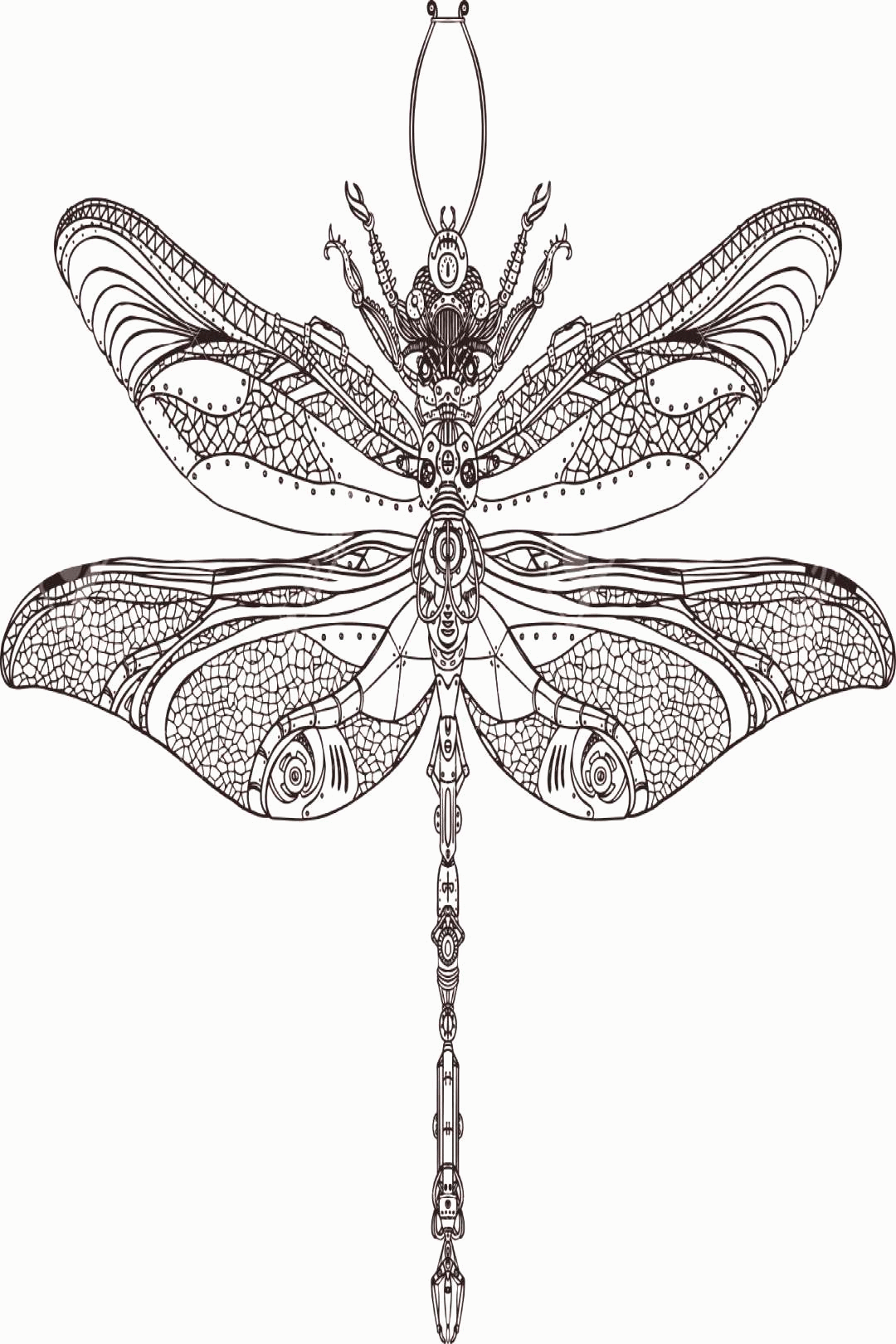 abstract animal steampunk dragonfly illustration dragonfly illustration steampunk tattoo medium