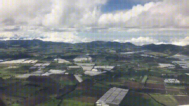 colombia morning gif find share on giphy medium