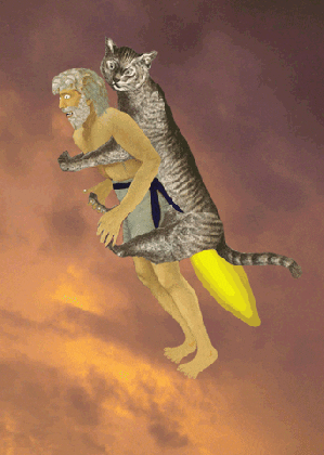cat jet pack gif by scorpion dagger find share on giphy medium