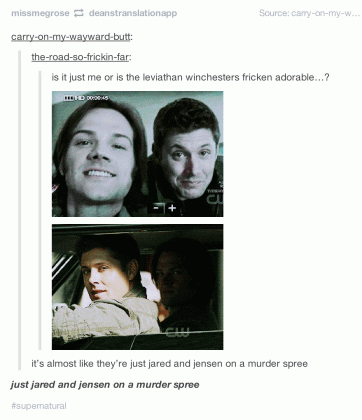 just jared and jensen on a murder spree y know meme to the medium