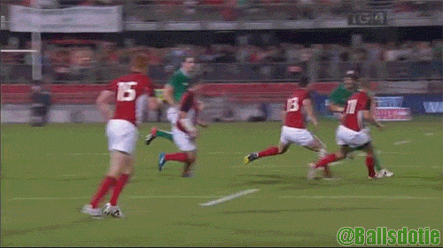 rugby world cup try gif find share on giphy medium