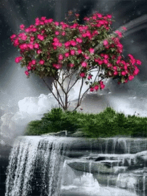 flowers water gif flowers water waterfall discover share gifs medium