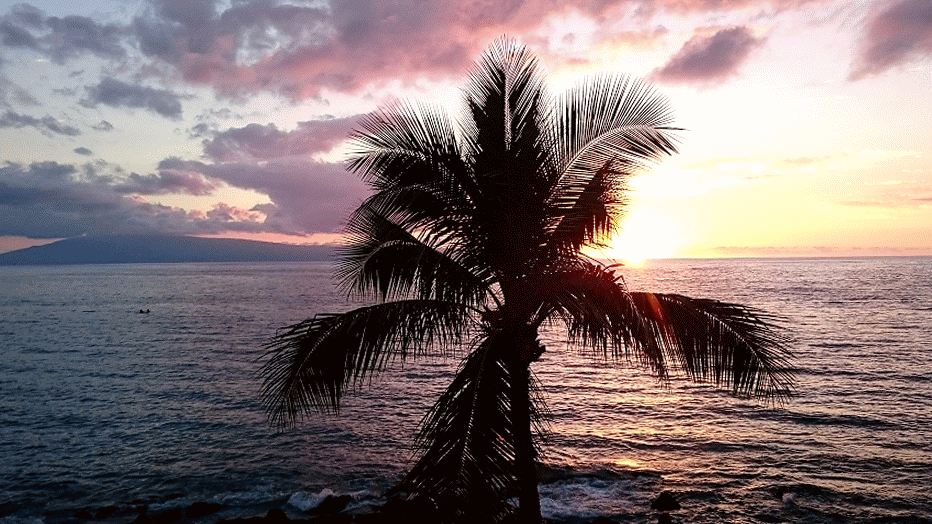 beyond the pale hawaii maui paradise medium